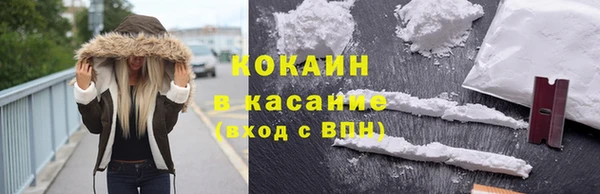 шишки Алексеевка