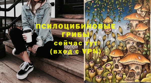 амфетамин Алексин